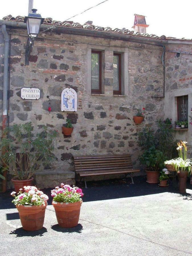 Willa Casa Del Ciliegio Radicofani Zewnętrze zdjęcie